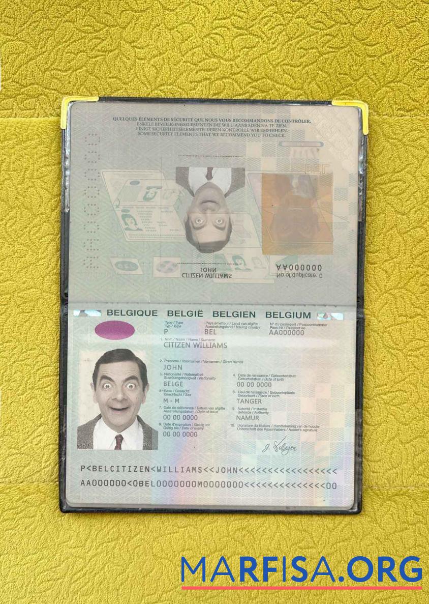 Realistic Belgium passport (2014 2017) photo look sample